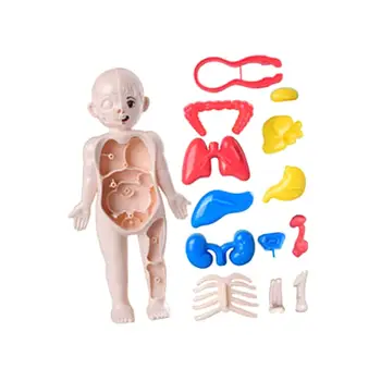Головоломка с изображением человеческого тела для детей, знание органов человеческого тела, раннее образование, 3D головоломка