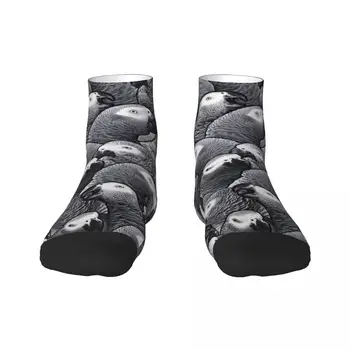 Мужские и женские носки с забавным рисунком африканского серого попугая, эластичные носки для лета, осени и зимы, носки для экипажа пситацинных птиц